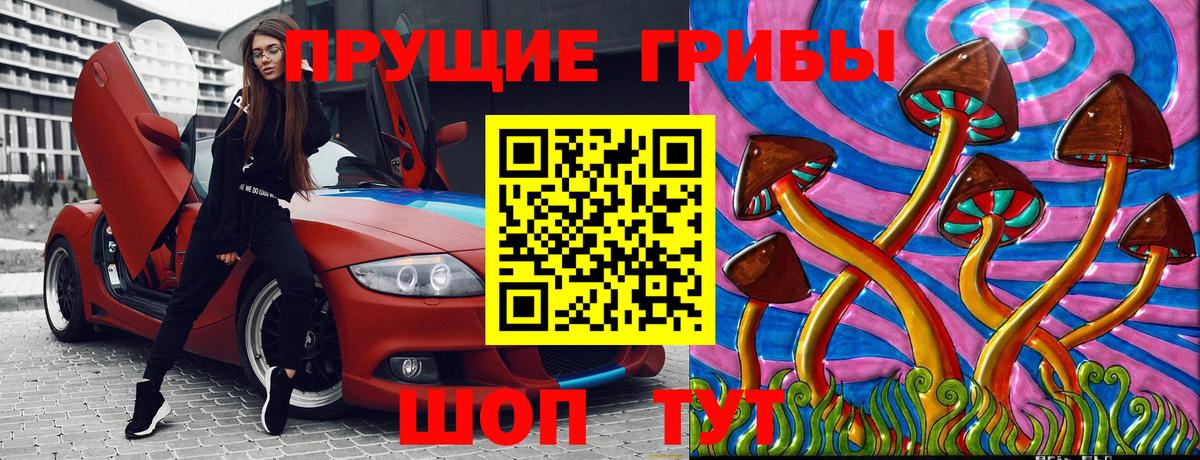 Знаменск  Псилоцибиновые грибы мухоморы  Вход с VPN  Псилоцибиновые грибы GOLDEN TEACHER 